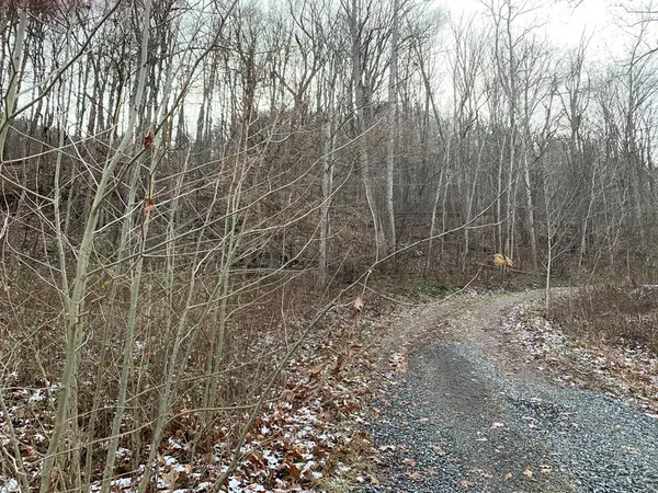0 NEW RIVER ROAD, Hinton, WV 25951
