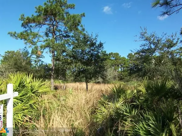 Other City - In The State Of Florida, FL 32833,20433 Quinella St