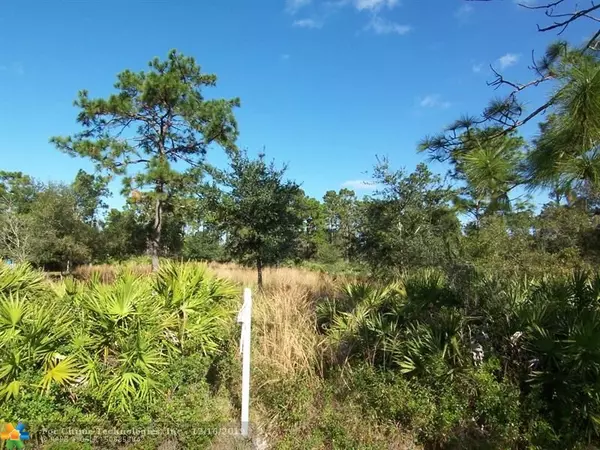 Other City - In The State Of Florida, FL 32833,20433 Quinella St
