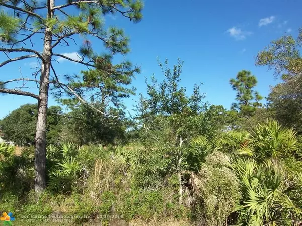 Other City - In The State Of Florida, FL 32833,20433 Quinella St