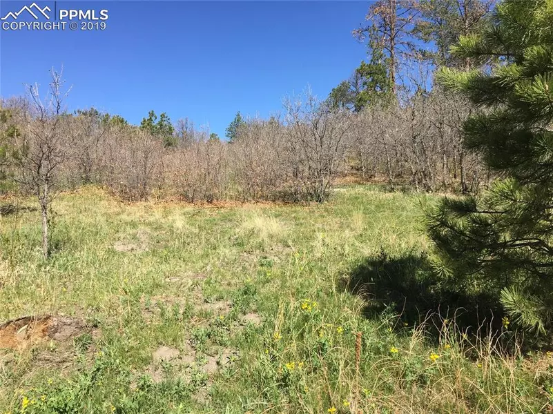 1376 Top of the Rock Way, Monument, CO 80132