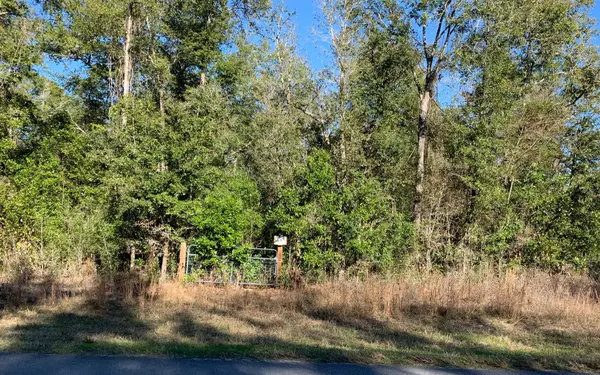 TBD SW NEWARK DRIVE, Fort White, FL 32038