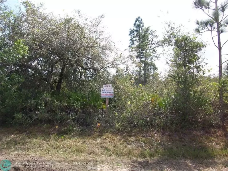 Lot 12 Poinciana Drive, Other City - In The State Of Florida, FL 33855