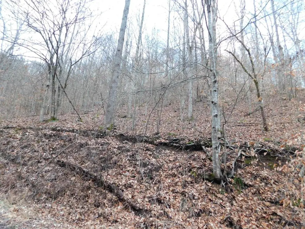 0 COON BRANCH ROAD, Iaeger, WV 24844