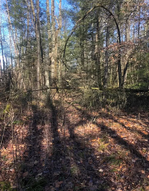 0 EDMOND ROAD, Edmond, WV 25847