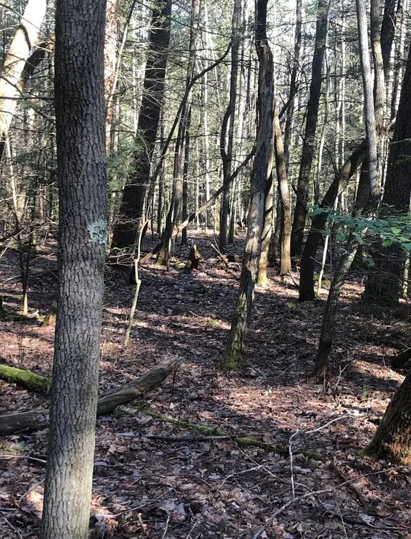 0 EDMOND ROAD, Edmond, WV 25847