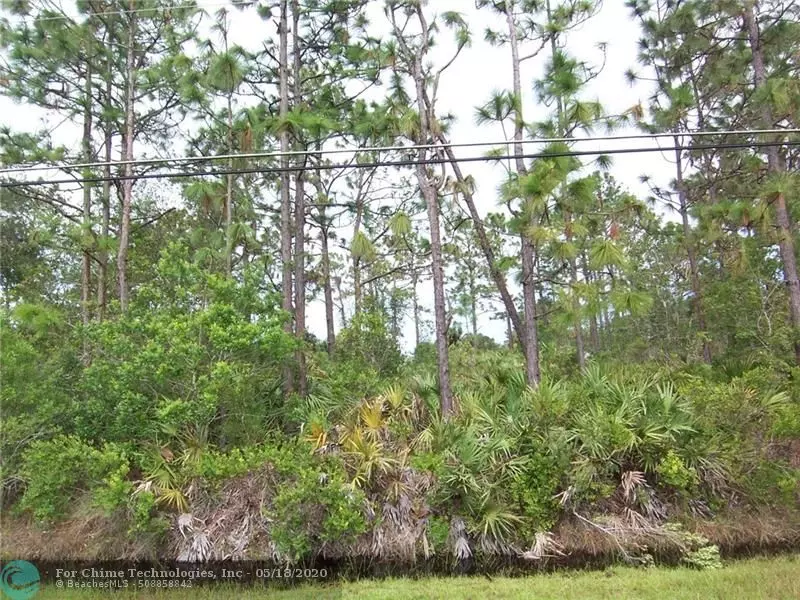 Other City - In The State Of Florida, FL 32833,Lot 14 Reynolds Parkway