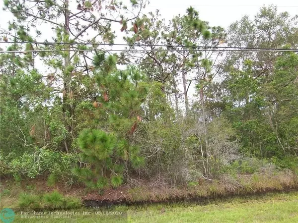 Other City - In The State Of Florida, FL 32833,Lot 14 Reynolds Parkway
