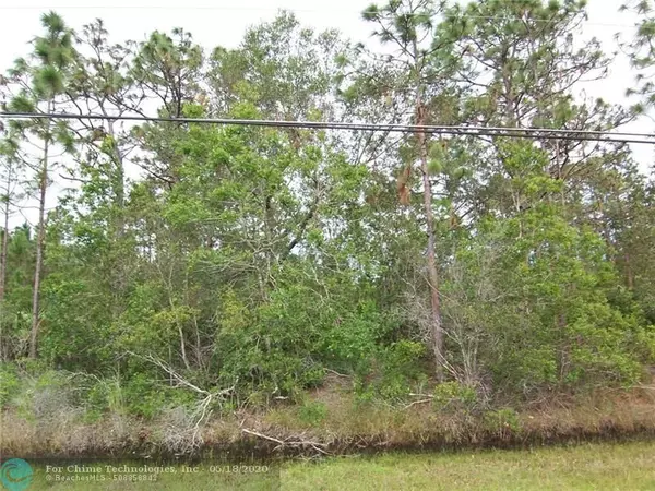 Other City - In The State Of Florida, FL 32833,Lot 14 Reynolds Parkway