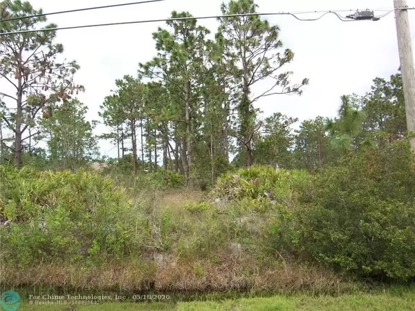 Other City - In The State Of Florida, FL 32833,Lot 14 Reynolds Parkway