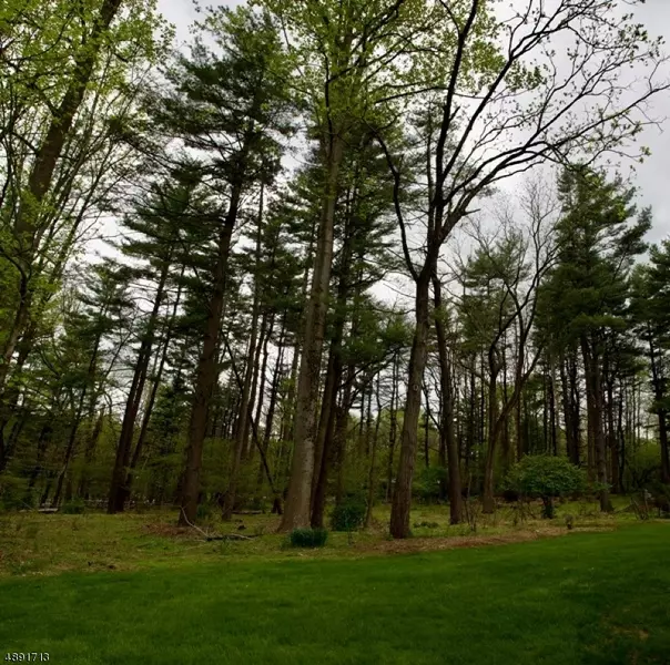 15 OPENAKI RD, Randolph Twp., NJ 07869