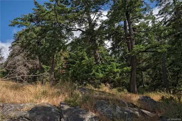 Saturna Island, BC V0N 2Y0,Lot 13 Trueworthy Rd