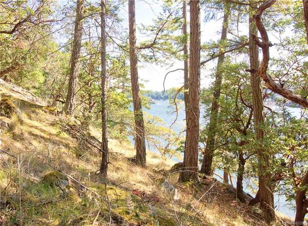 Salt Spring, BC V8K 1S4,LOT 52 Nose Point Rd