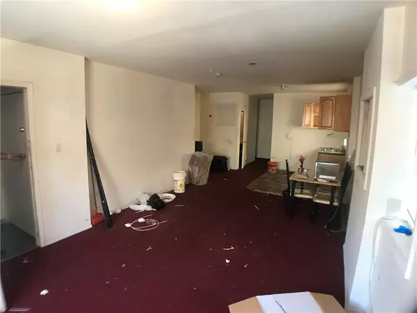 Brooklyn, NY 11207,341 Warwick ST