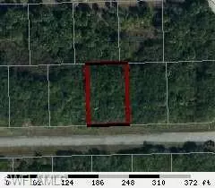 Labelle, FL 33935,250 Moonlight LN