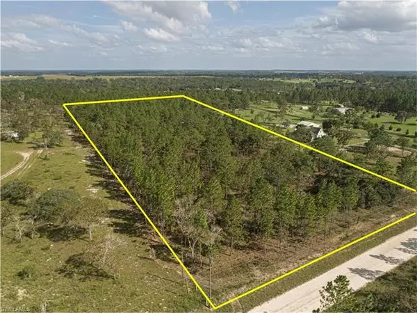 0 140th Ave, Morriston, FL 32668