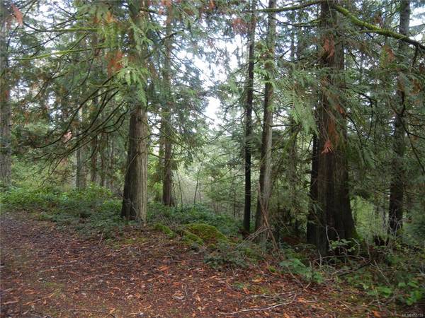 Salt Spring, BC V8K 2W9,Lot B Dubois Rd