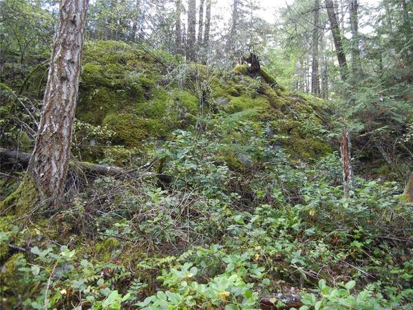 Salt Spring, BC V8K 2W9,Lot B Dubois Rd