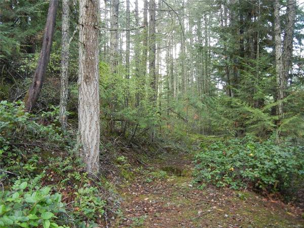 Salt Spring, BC V8K 2W9,Lot B Dubois Rd