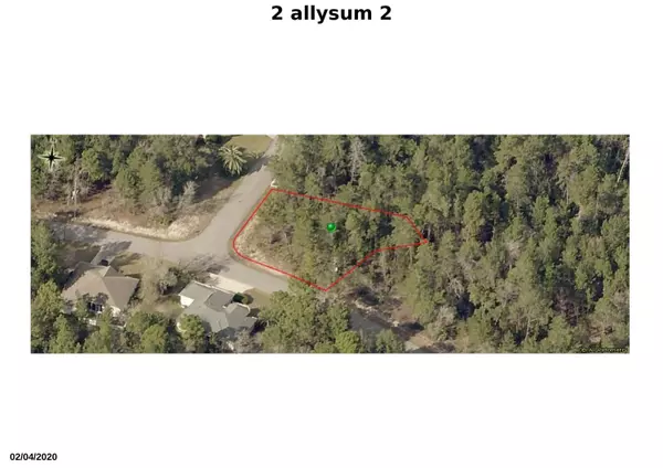 Homosassa, FL 34446,2 Alyssum CT