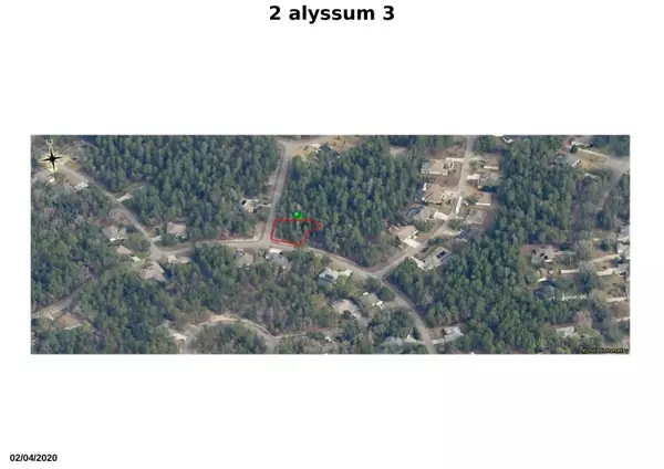 Homosassa, FL 34446,2 Alyssum CT