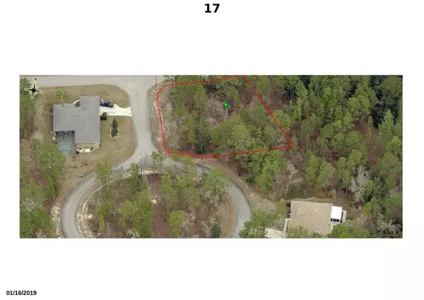 Homosassa, FL 34446,17 Sanders CIR