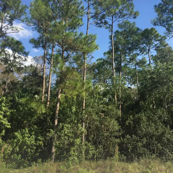 Loxahatchee Groves, FL 33470,Lot  41 N 161st TER