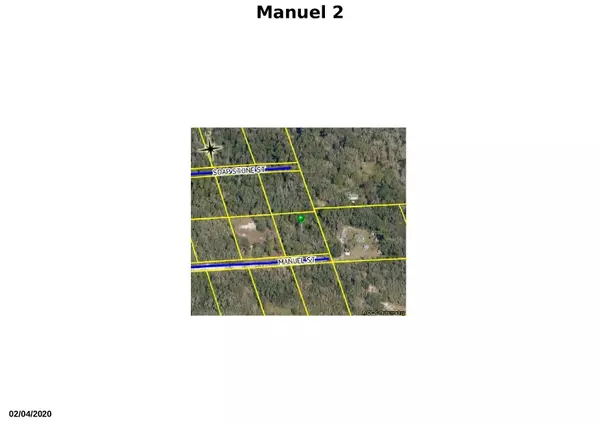 Webster, FL 33597,Tbd Manuel ST