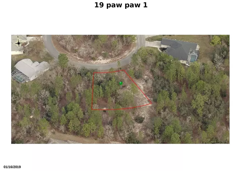 19 S Pawpaw CT, Homosassa, FL 34446