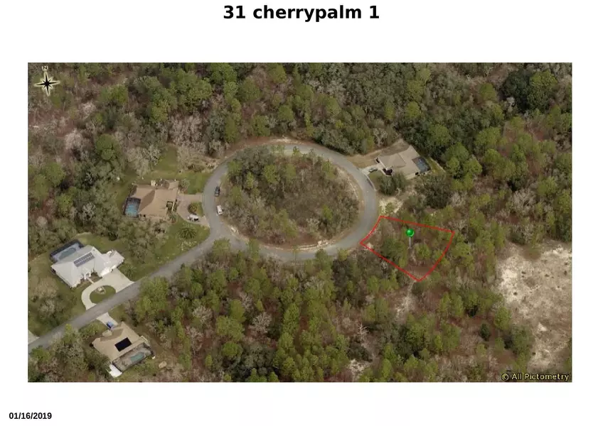 31 Cherrypalm CT, Homosassa, FL 34446