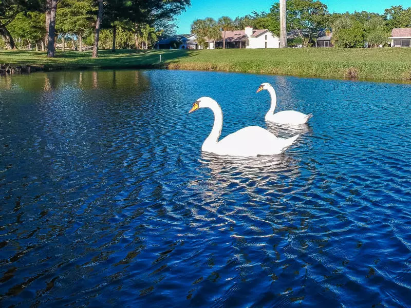 5289 Fairway Woods DR 2913, Delray Beach, FL 33484