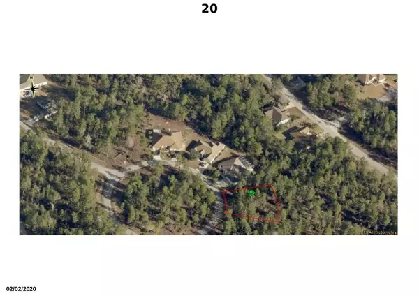 Homosassa, FL 34446,20 Lobelia CT