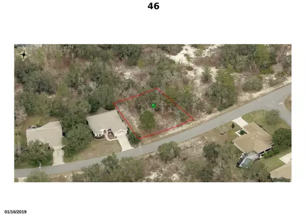 Homosassa, FL 34446,46 Black Willow ST