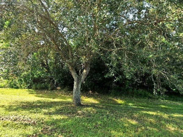Lot 4 SW Tulip Sw BLVD, Port Saint Lucie, FL 34953