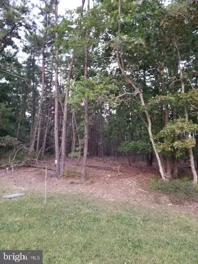 Barnegat, NJ 08005,5 MINNOW AVE