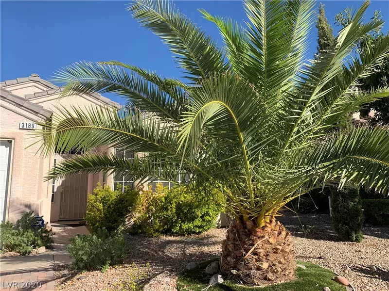 3189 Dusty Moon Avenue, Henderson, NV 89052