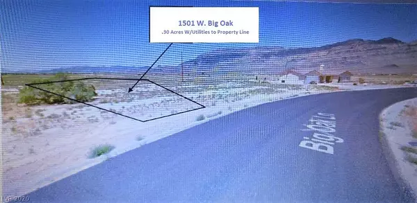 Pahrump, NV 89060,1501 W BIG OAK Lane