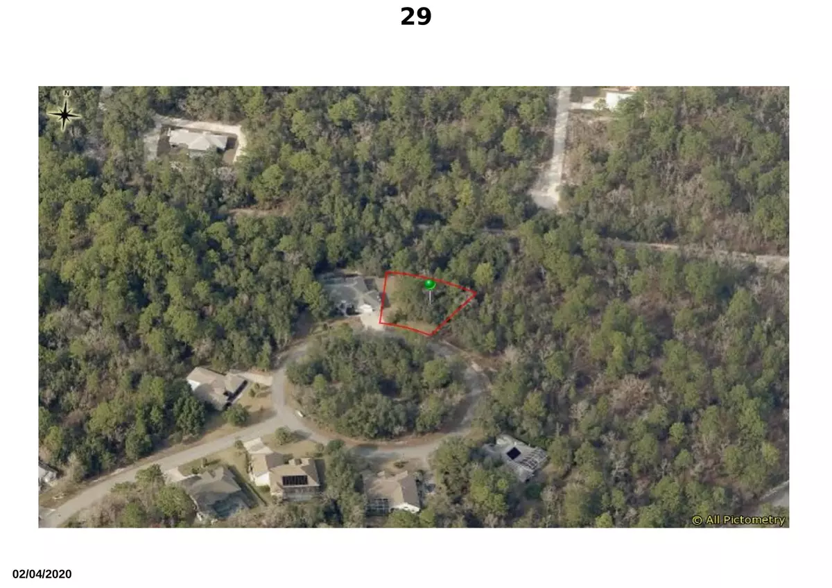 Homosassa, FL 34446,29 Boston Ivy CT