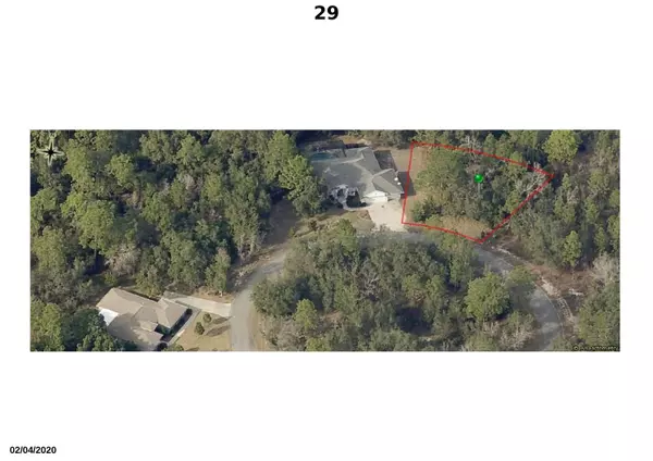 Homosassa, FL 34446,29 Boston Ivy CT