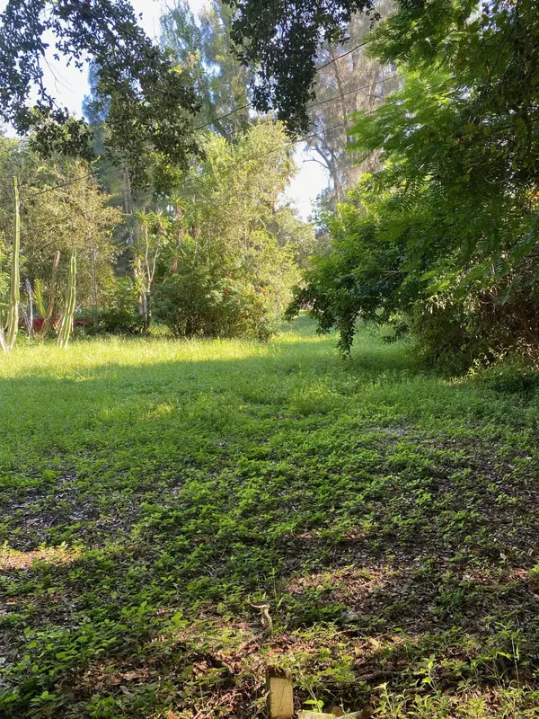 Palm Beach Gardens, FL 33410,11320 Palm Tree LN