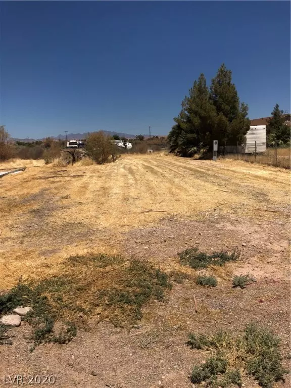 462 Adelle Avenue, Overton, NV 89040