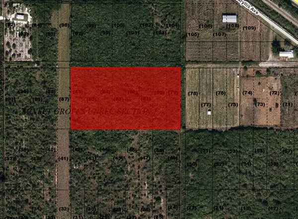 Indiantown, FL 34956,Xxx SW Amaryllis AVE