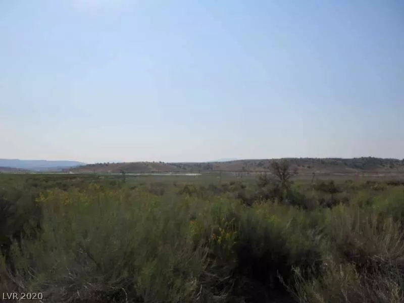 Lot#2 Center Road, Pioche, NV 89043