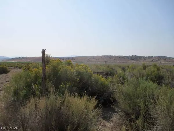 Pioche, NV 89043,1791 Center Road