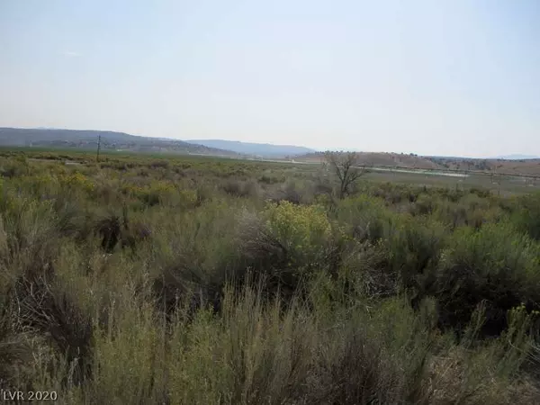 Pioche, NV 89043,1791 Center Road