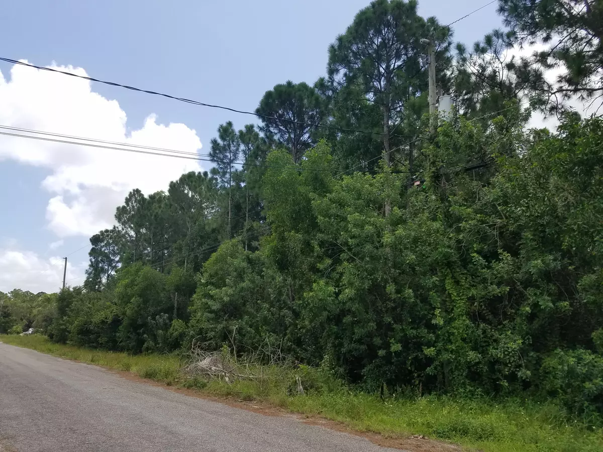 Loxahatchee, FL 33470,N-397 81st LN