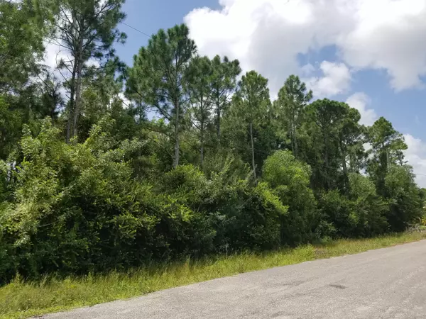 Loxahatchee, FL 33470,N-397 81st LN