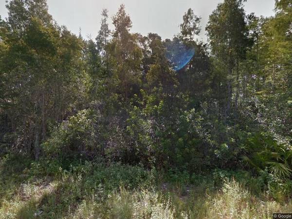 1013 Lisbon AVE, Lehigh Acres, FL 33974