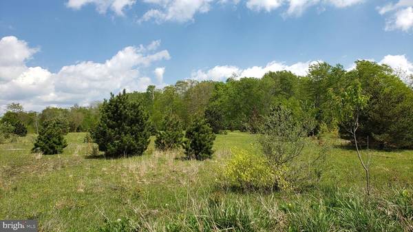 BUFFALO COAL ROAD, Mount Storm, WV 26739