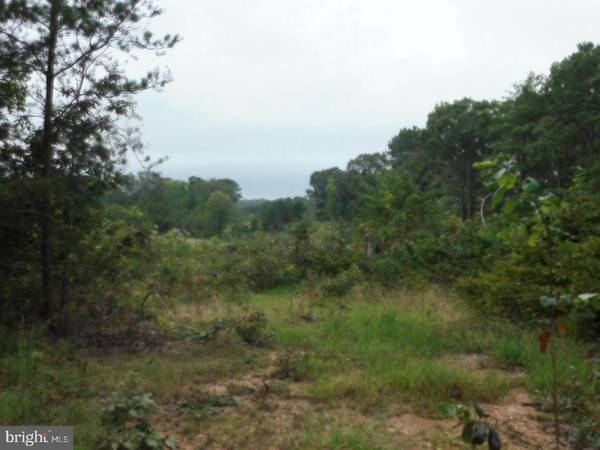 LOT 8K BELLEWOOD ACRES LN, Rhoadesville, VA 22542